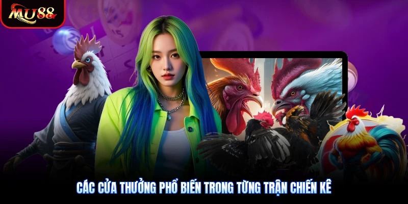 Các cửa thưởng phổ biến trong từng trận chiến kê