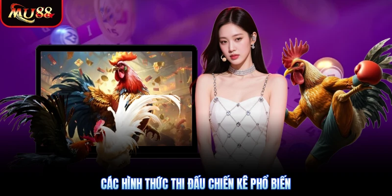 Các hình thức thi đấu chiến kê phổ biến