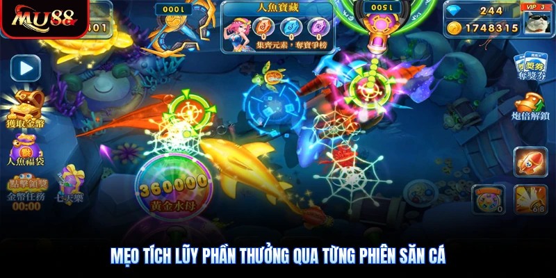 Mẹo tích lũy phần thưởng qua từng phiên săn cá