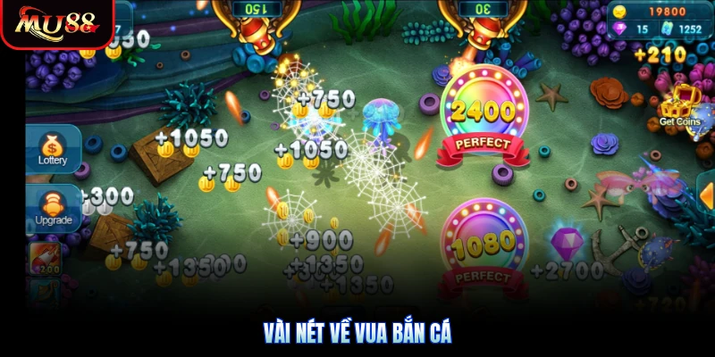 Vài nét về Vua Bắn Cá